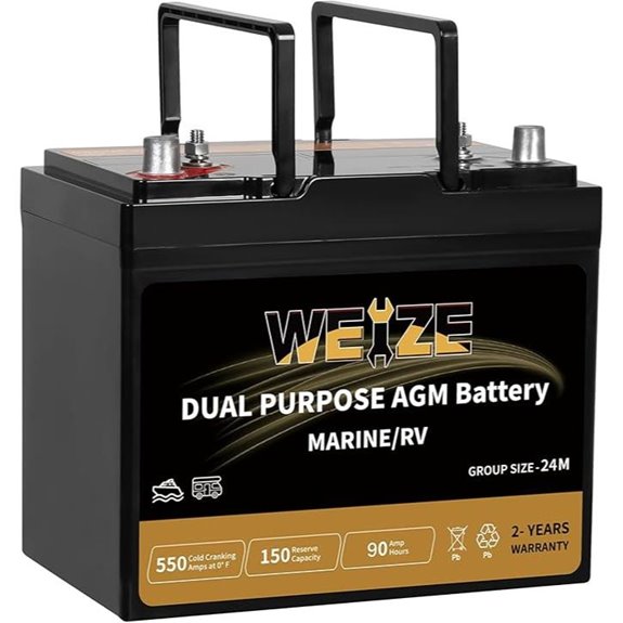 Weize Dual Purpose AGM Marine & RV Battery